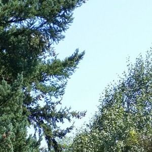 Meet your Posher, Sydney